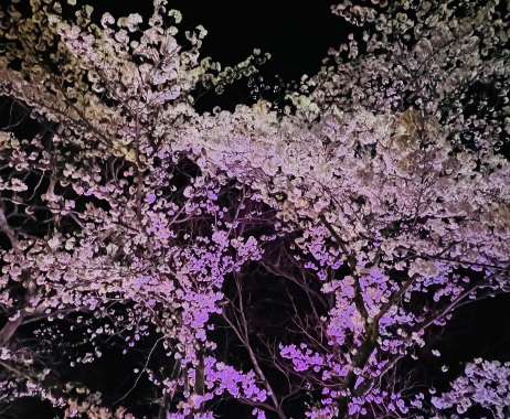 丸亀市たこう整体の休日！！