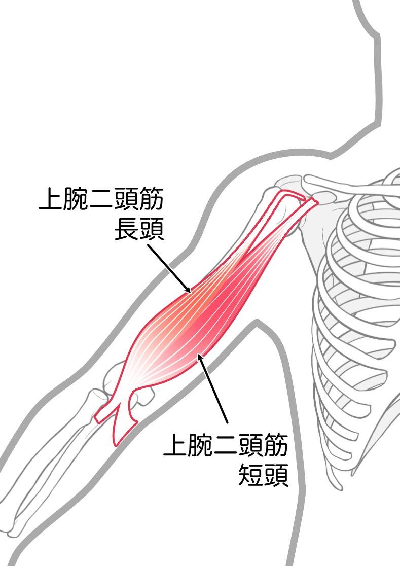 丸亀市たこう整体で肩こり予防のストレッチ！