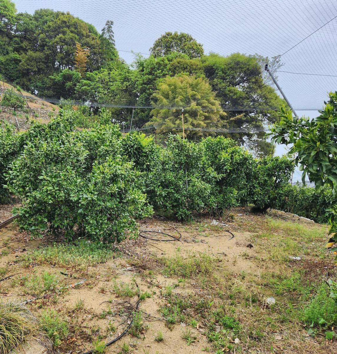 丸亀市たこう整体の休日！！