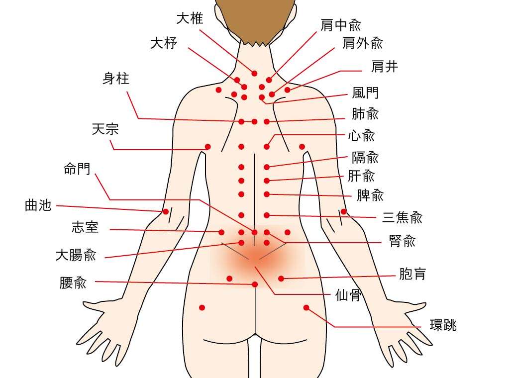 丸亀市たこう整体のツボを使って胃腸ケア！