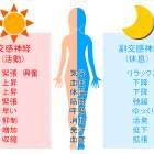 丸亀市たこう整体で自律神経調整！